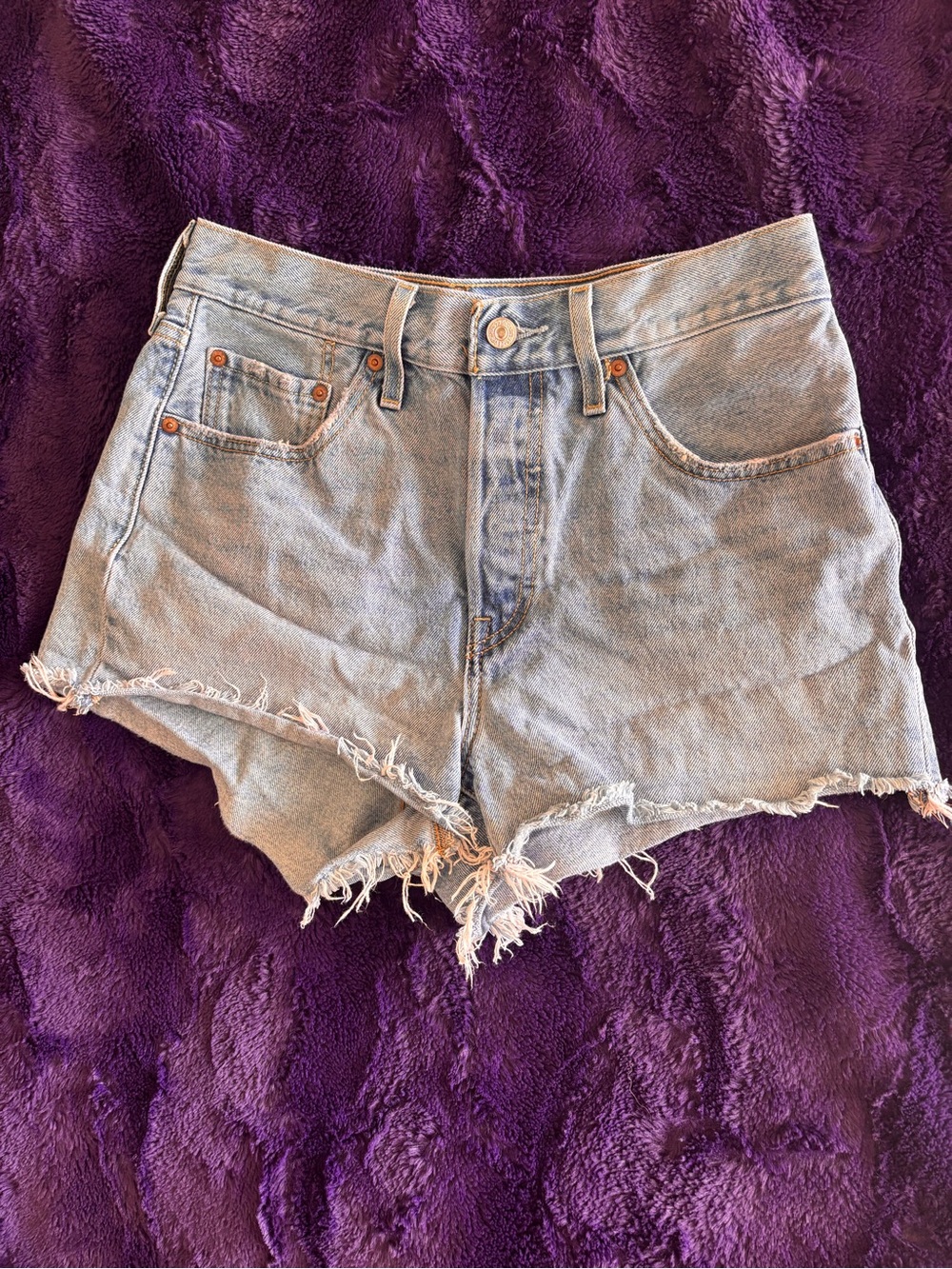 Levi's Light Blue Frayed Hem Denim Cutoff Shorts